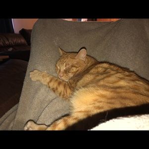 Meet your Posher, Tim